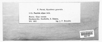 Image Associated With the Occurence